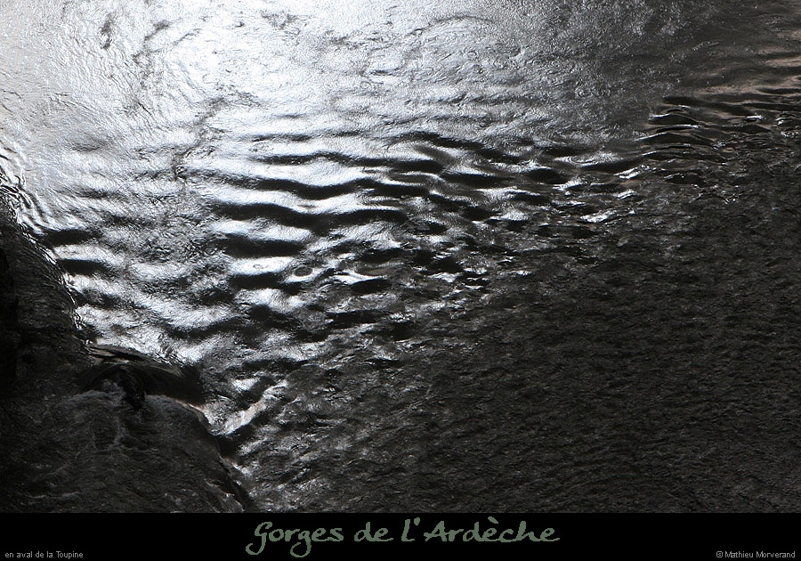 20100327_gournier_sortietoupineav08