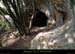 20150319_viregeodan
