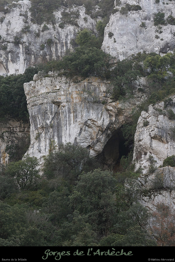 20080101_baumepasdelane02