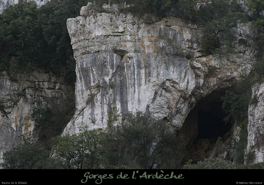 20080101_baumepasdelane03