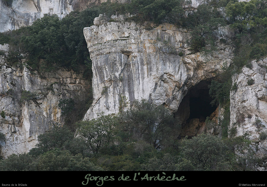 20080101_baumepasdelane05