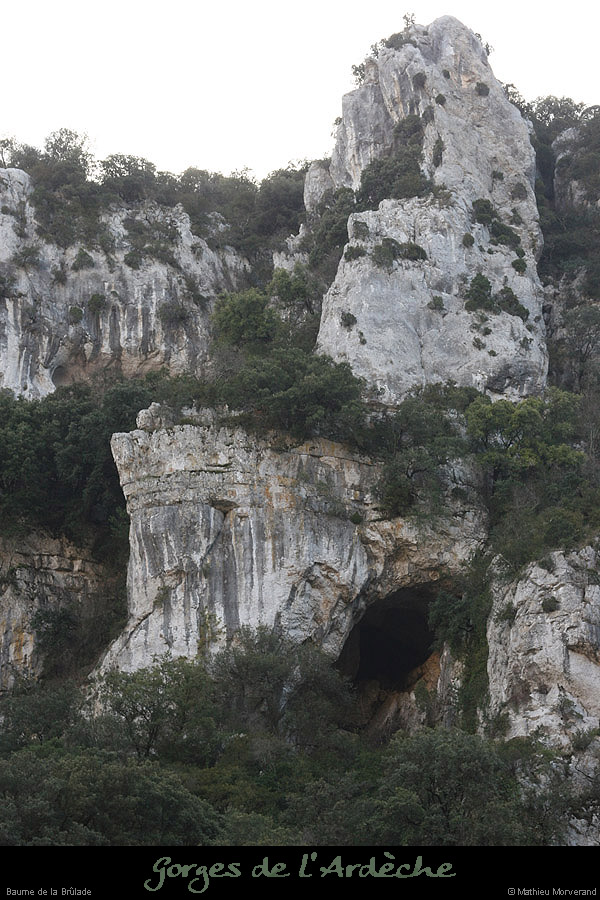 20080101_baumepasdelane07