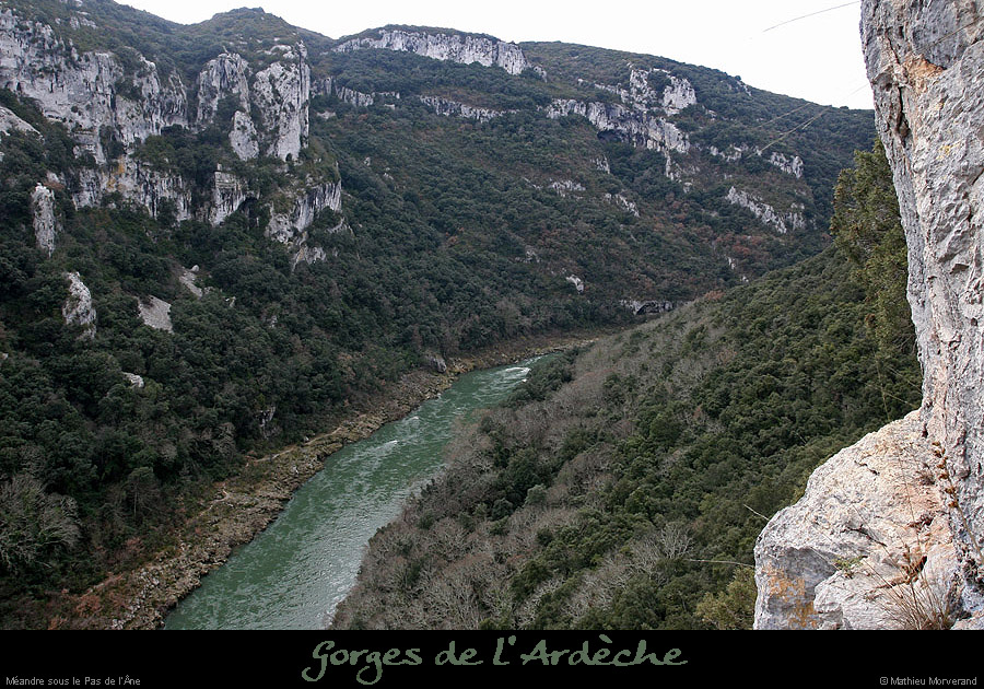 20100220_ssbrulade1