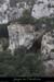 20080101_baumepasdelane02