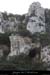 20080101_baumepasdelane07
