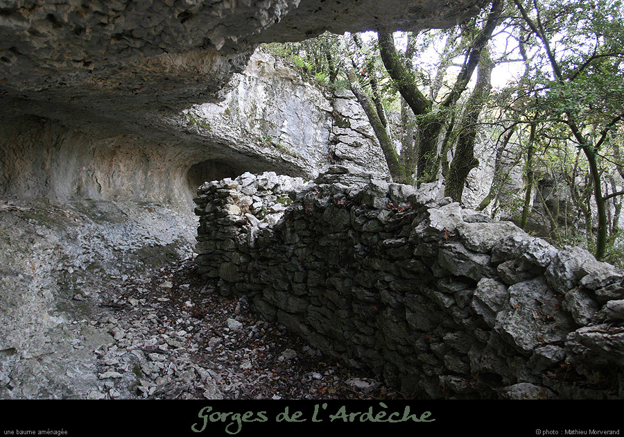 20071013_baumesousflassade3