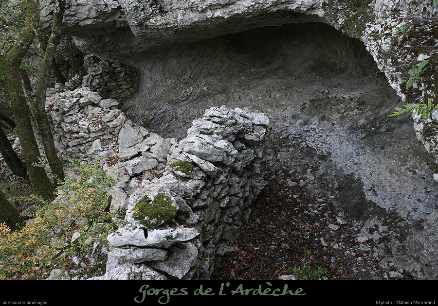 20071013_baumesousflassade5
