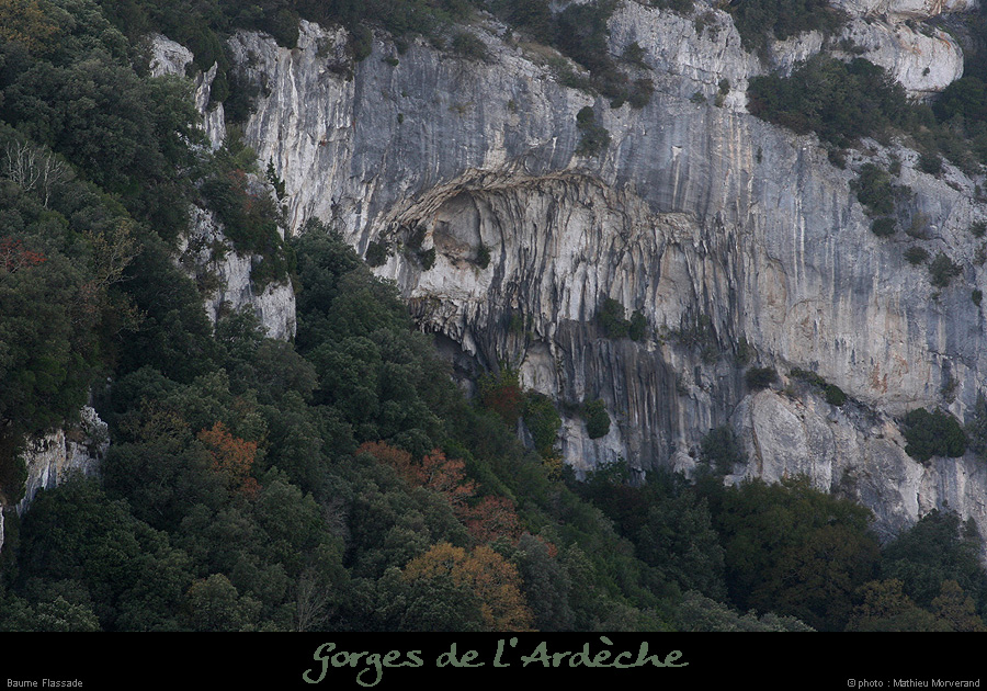 20071014_baumeflassade1