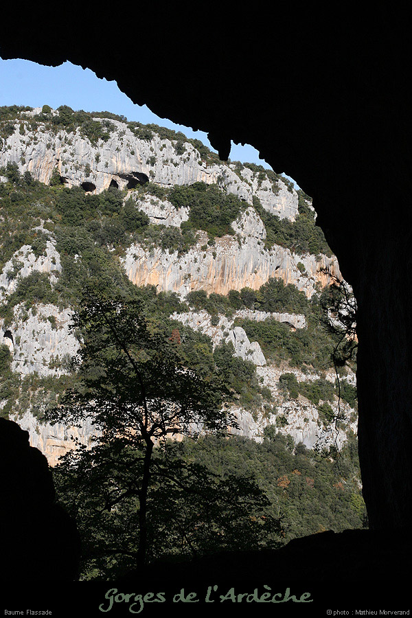 20071021_baumeflassade_ext09