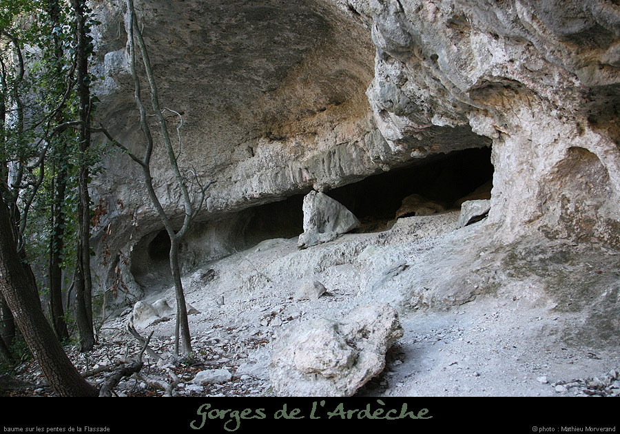 20071021_baumesousflassade1