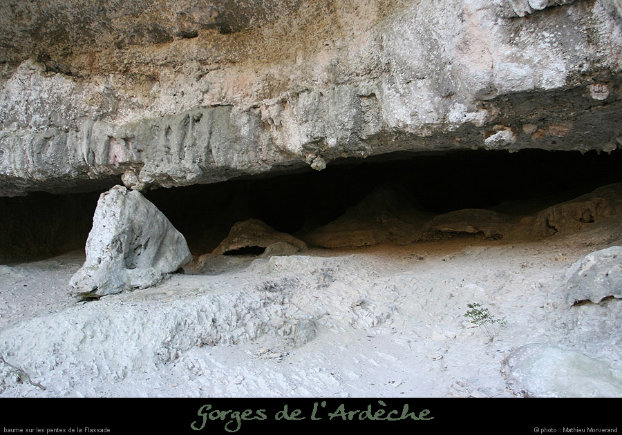 20071021_baumesousflassade2