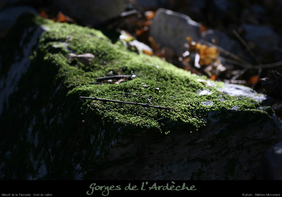 20071021_flassade_fondvallon2