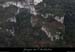 20091227_flassadedebaumesobscures