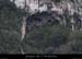 20130330_baumeflassade2
