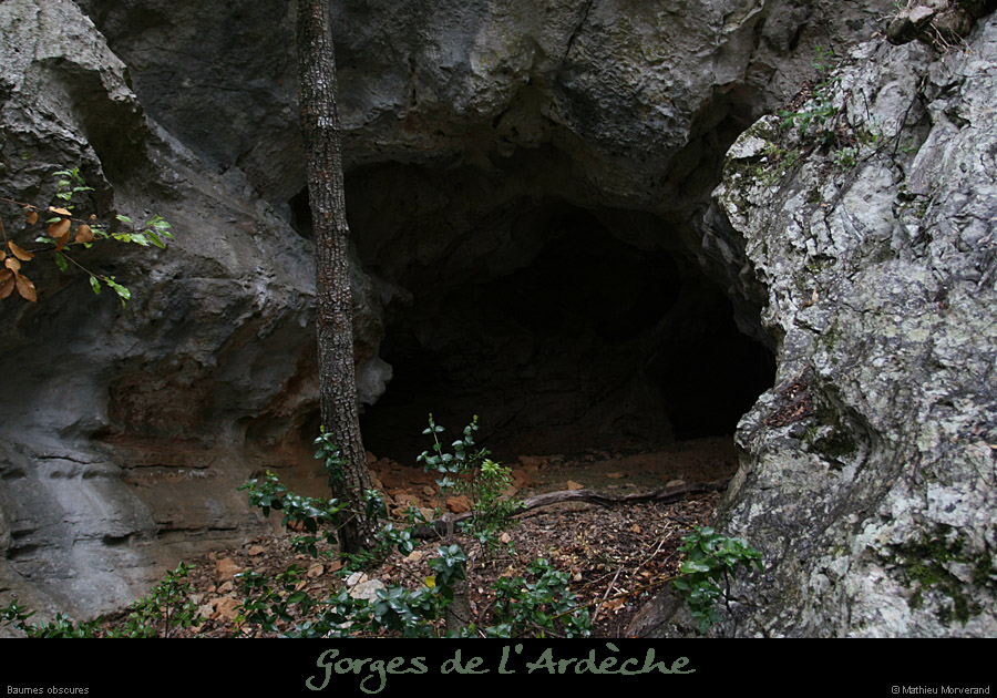 20080408_baumesobscures1