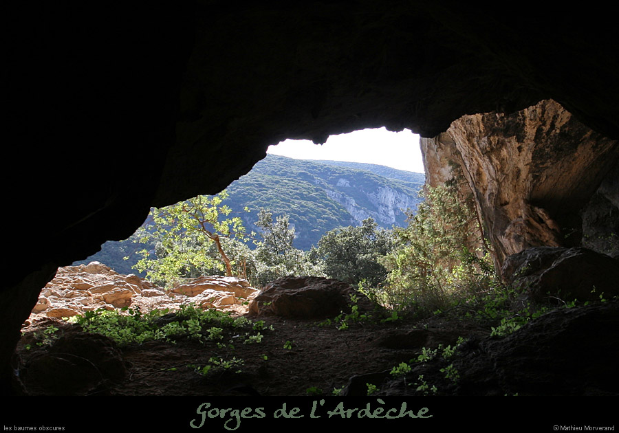 20080820_baumesobscures4