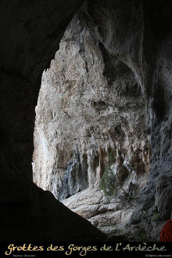 20090411_baumeobscures01