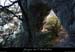 20070901_baumes_obscures01