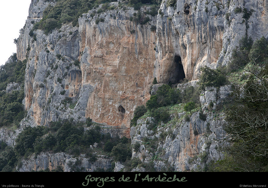 20100328_vireperilleuseparav2
