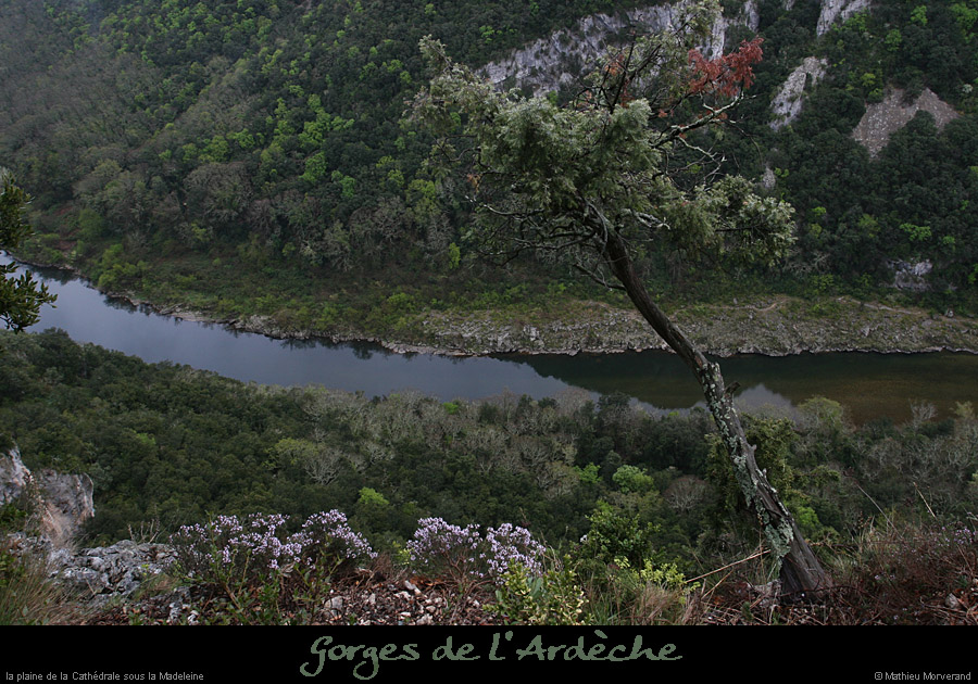 20080408_ardechessmadeleine2