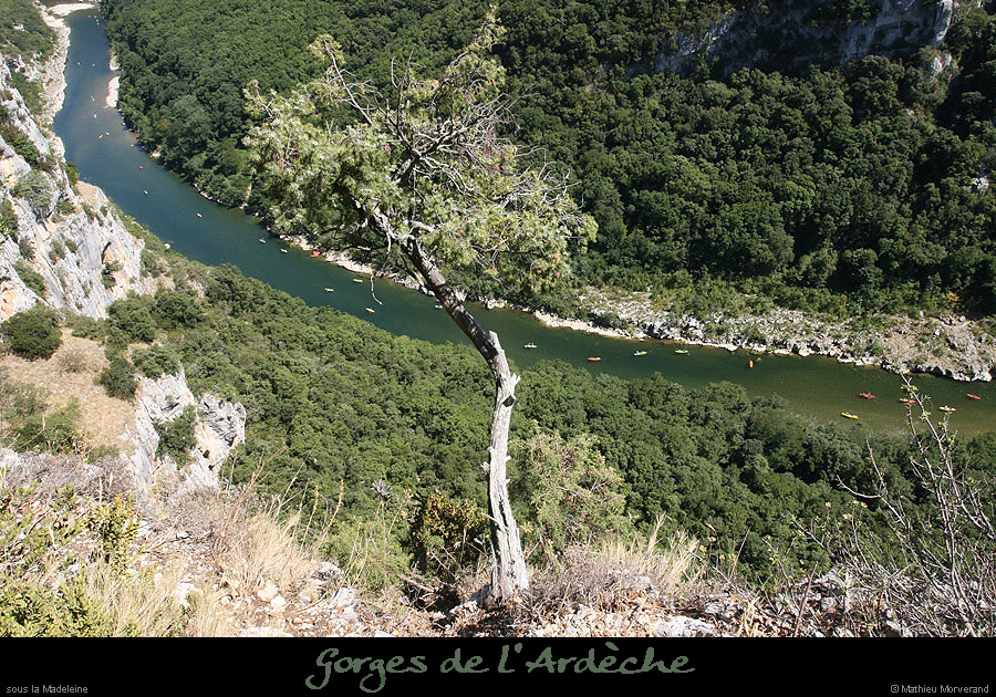 20090728_belvmadeleine1