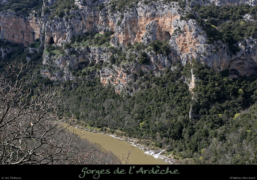 20100404_vireperilleuseparavrd1