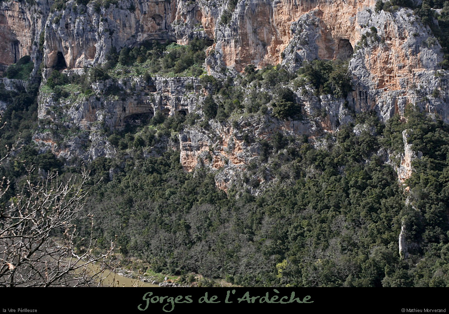 20100404_vireperilleuseparavrd2