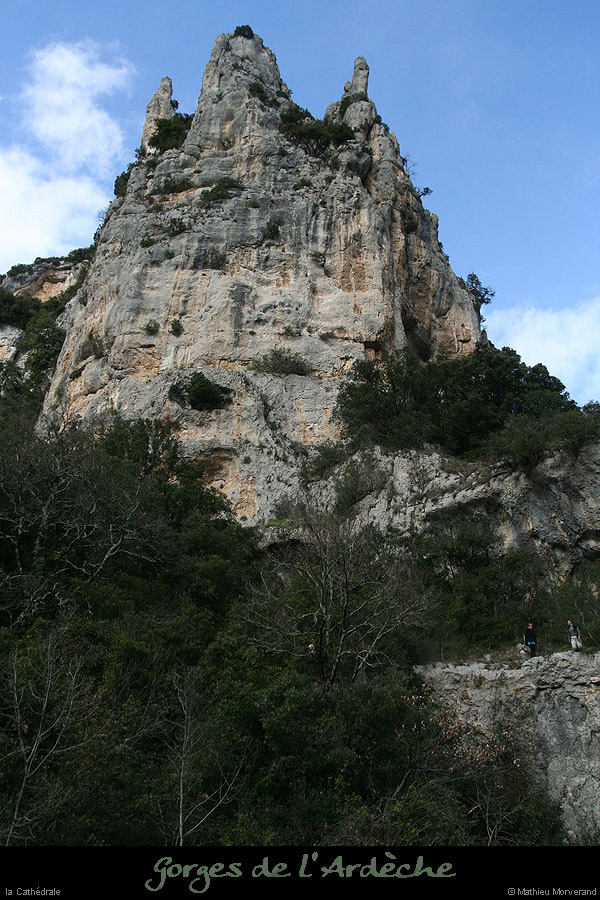 20100328_cathedraleparlabase04