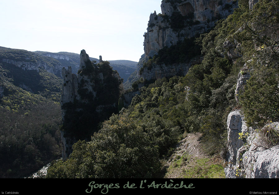 20100405_cathedraledeviressmalbosc04