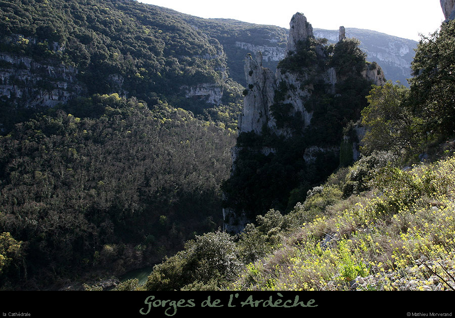 20100405_cathedraledeviressmalbosc06