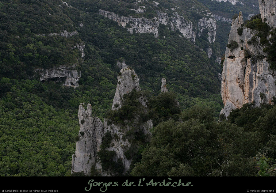 20100424_viressousmalbosc_cathedrale3