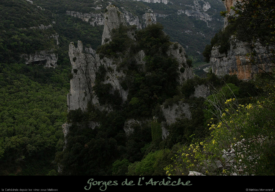 20100424_viressousmalbosc_cathedrale4