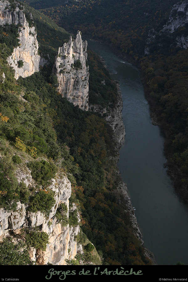 20081109_cathedraleparam1