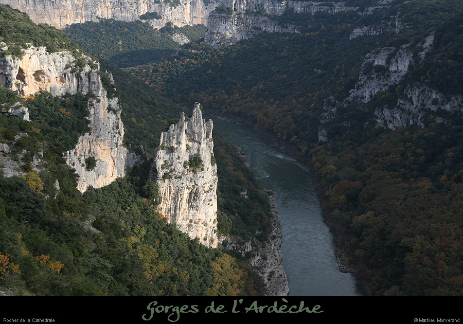 20081109_cathedraleparam6