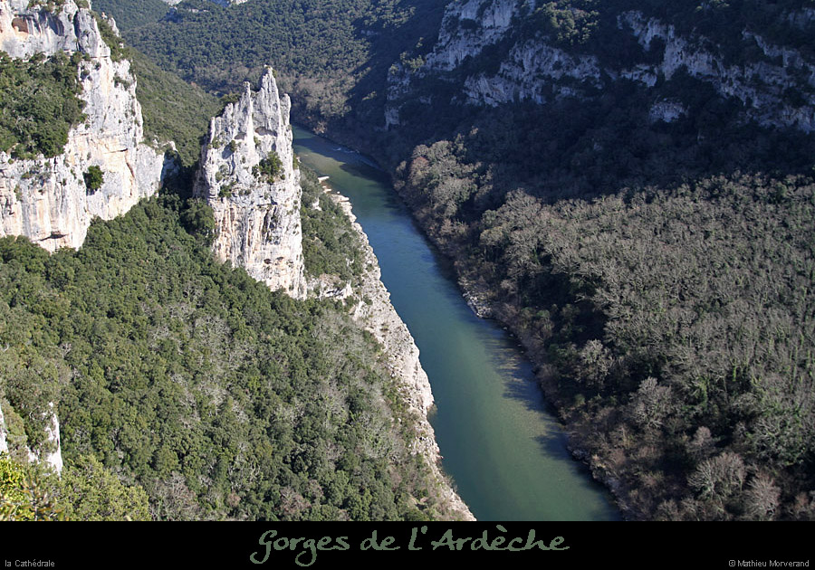 20110324_cathedraleparam05