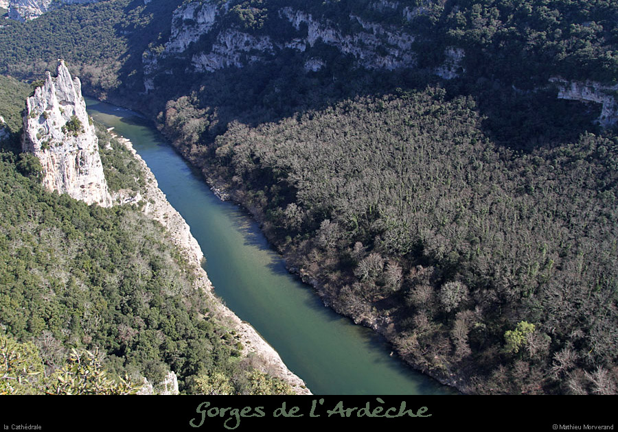20110324_cathedraleparam06