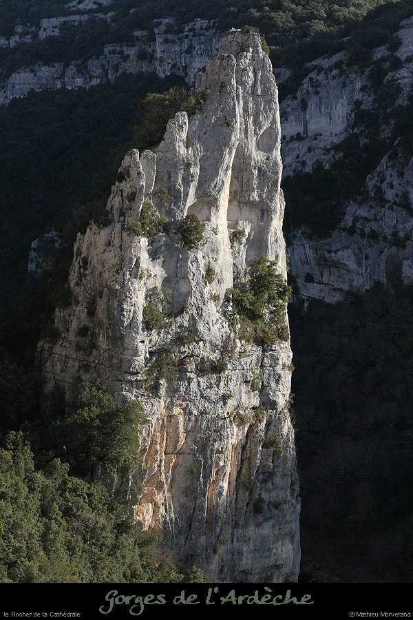 20071231_cathedraledecp2