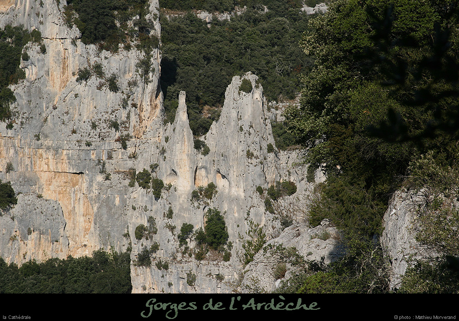 20071014_cathedraledepieddelane11