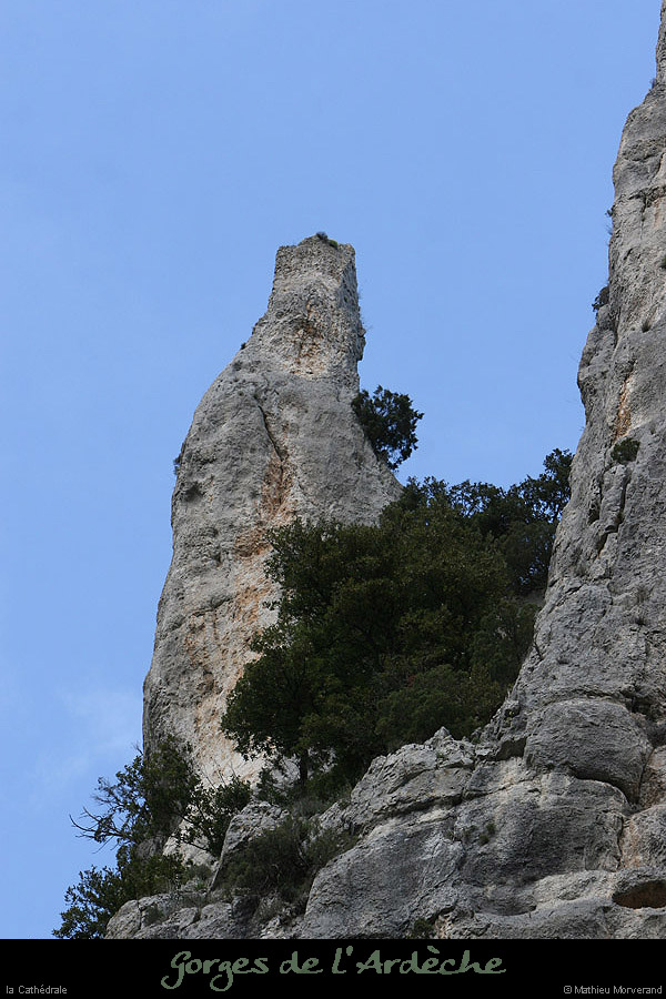 20100328_cathedraleparlabase10