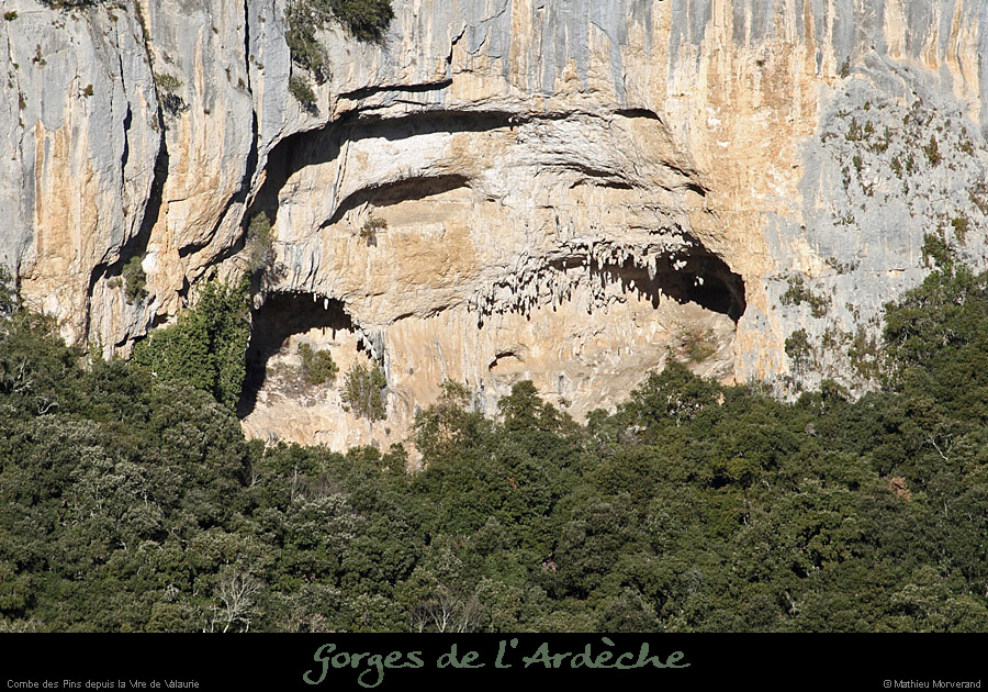 20110205_combedespins_depuisviresdevalaurie1