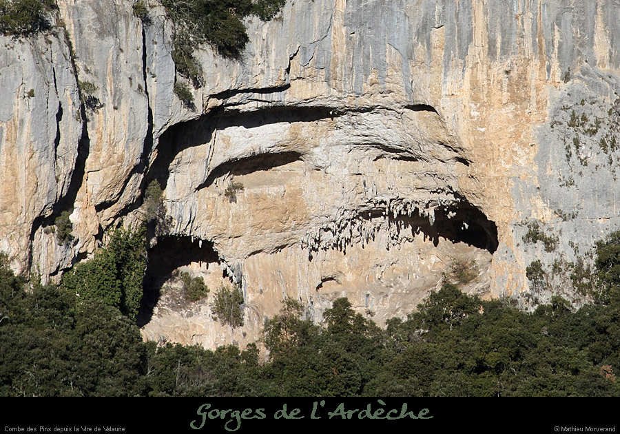 20110205_combedespins_depuisviresdevalaurie2