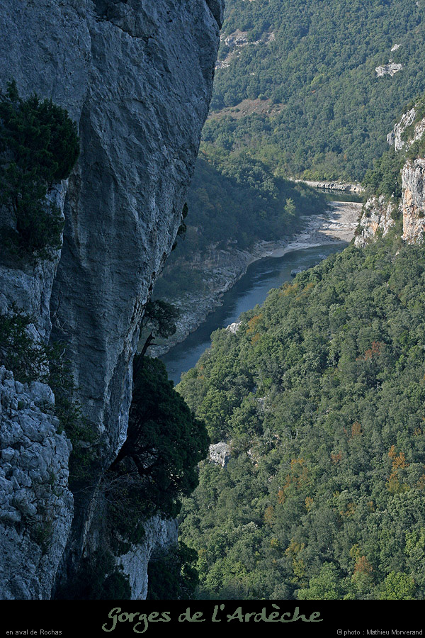 20071014_avalmidroi3