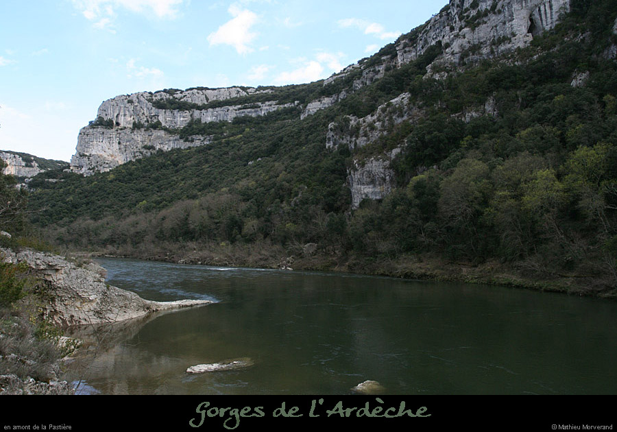 20100328_amtempliers3