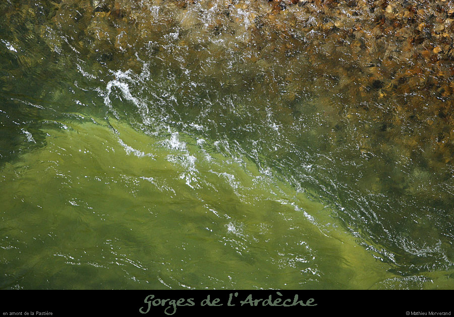 20100427_pastiere1