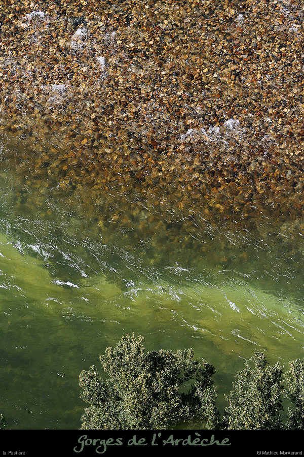 20100427_pastiere3