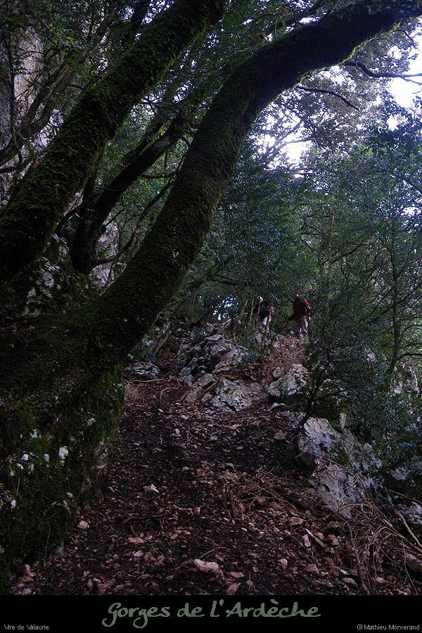 20100404_valaurievireint