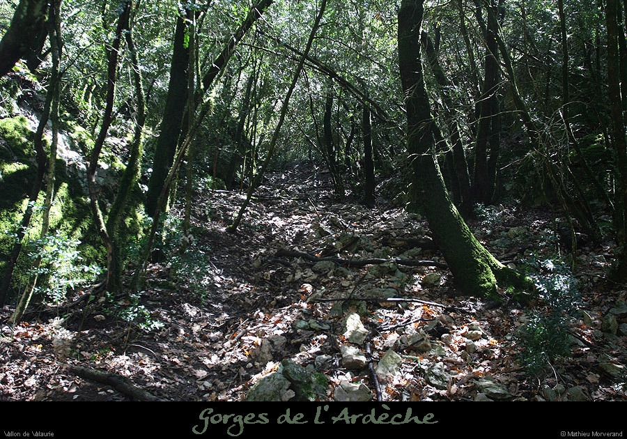 20100404_vallonvalauriesup