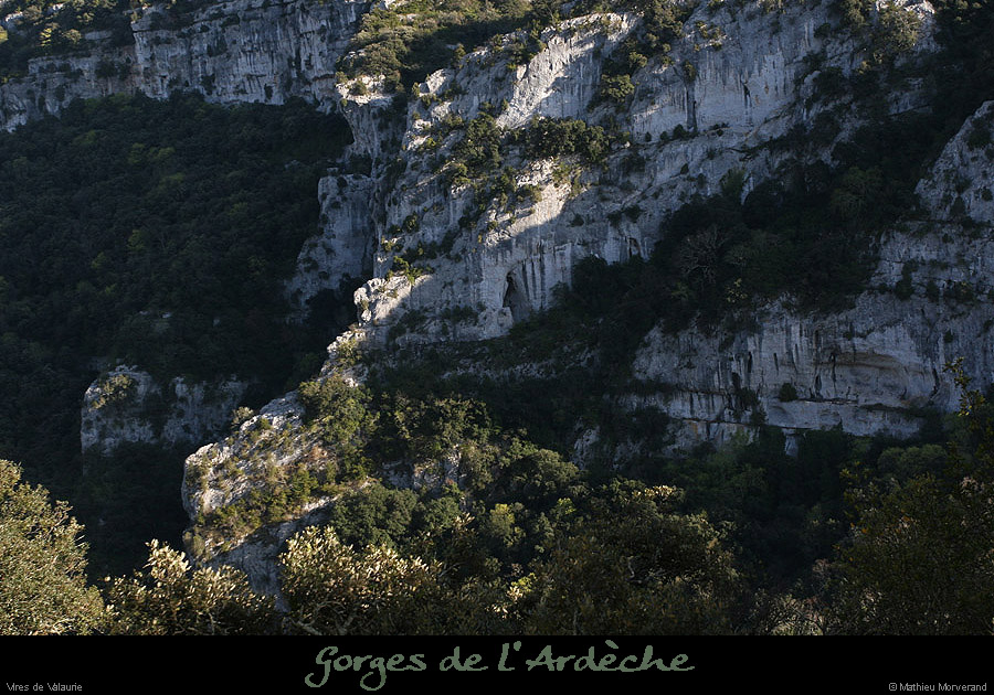 20100405_virevalauriederg4