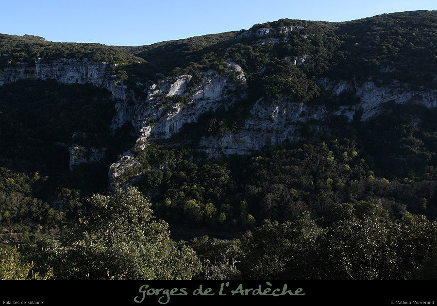 20100405_virevalauriederg6