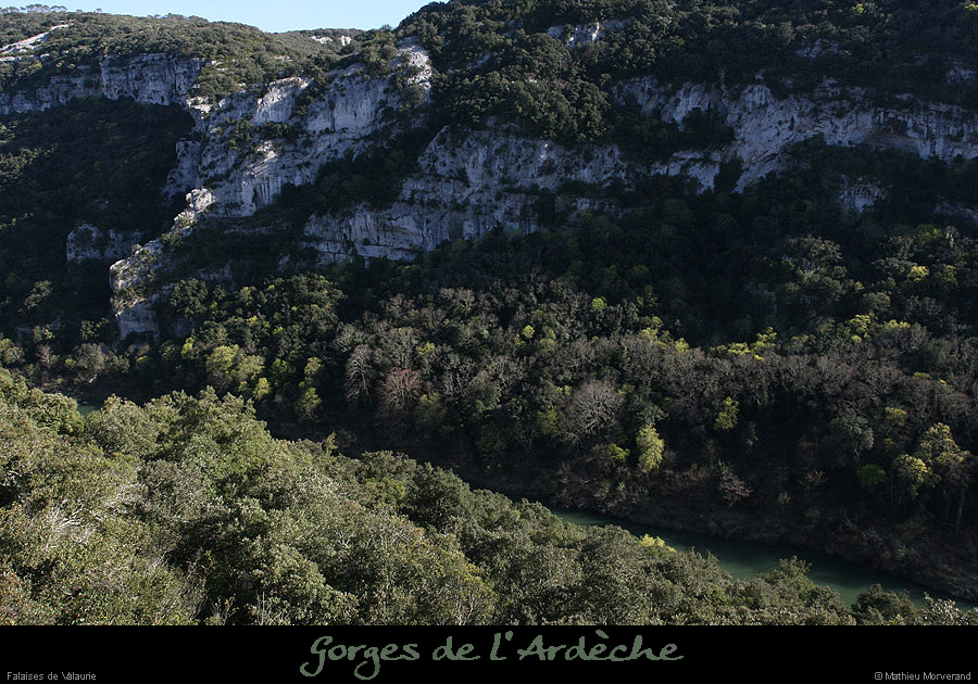 20100405_virevalauriederg7